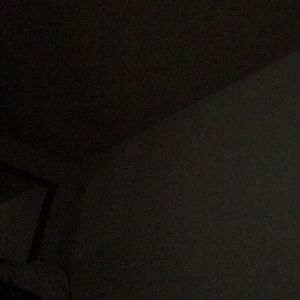 Meet your Posher, Joey